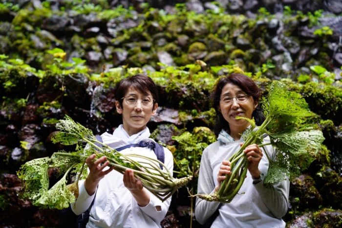 「Tokyo-Wasabi」在多摩地區舉行山葵採收體驗「WASABI-EXPERIENCE」，參加者最後可將山葵帶回家。（圖/TOKYO-WASABI提供）