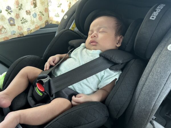 上車秒睡，讓寶寶有安全感。圖／曾璟星攝